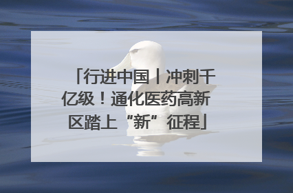 行进中国丨冲刺千亿级！通化医药高新区踏上“新”征程