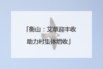 衡山：艾草迎丰收 助力村集体增收
