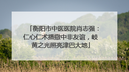 衡阳市中医医院肖志强：仁心仁术播撒中非友谊，岐黄之光照亮津巴大地