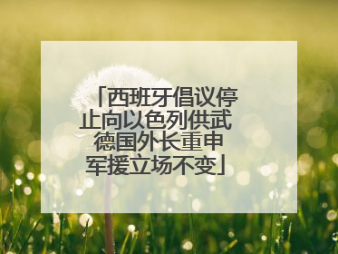 西班牙倡议停止向以色列供武 德国外长重申军援立场不变