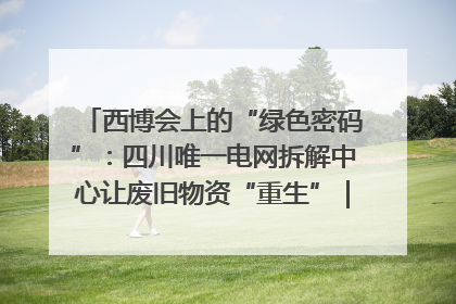西博会上的“绿色密码”：四川唯一电网拆解中心让废旧物资“重生”｜西博寻“新”记