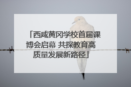 西咸黄冈学校首届课博会启幕 共探教育高质量发展新路径