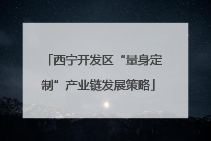 西宁开发区“量身定制”产业链发展策略