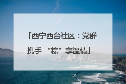 西宁西台社区:党群携手 “粽”享温情