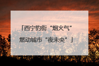西宁豹街“烟火气” 燃动城市“夜未央”