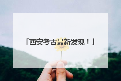 西安考古最新发现！