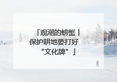 观潮的螃蟹丨保护耕地要打好“文化牌”