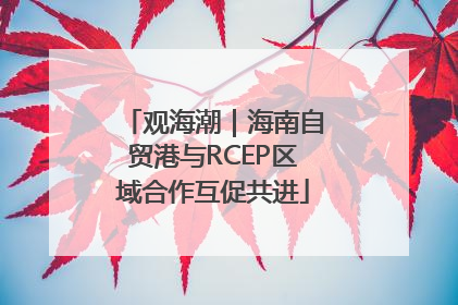 观海潮｜海南自贸港与RCEP区域合作互促共进