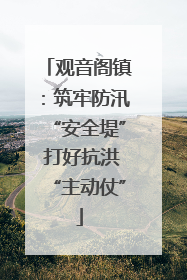 观音阁镇：筑牢防汛“安全堤” 打好抗洪“主动仗”