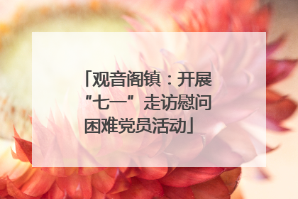 观音阁镇：开展“七一”走访慰问困难党员活动
