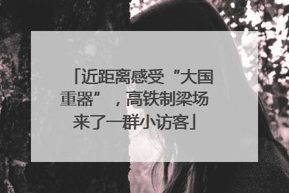 近距离感受“大国重器”，高铁制梁场来了一群小访客