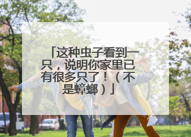 这种虫子看到一只，说明你家里已有很多只了！（不是蟑螂）