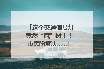 这个交通信号灯竟然“藏”树上！市民盼解决……