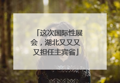 这次国际性展会，湖北又又又又担任主宾省