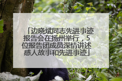 边晓斌同志先进事迹报告会在扬州举行，5位报告团成员深情讲述感人故事和先进事迹