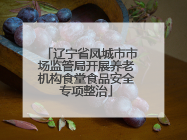 辽宁省凤城市市场监管局开展养老机构食堂食品安全专项整治