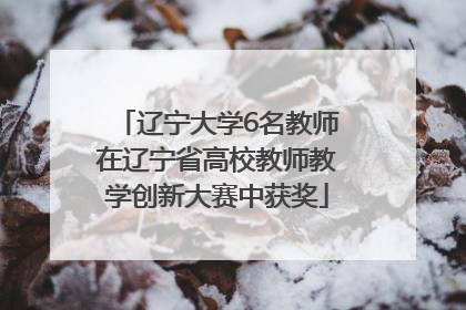 辽宁大学6名教师在辽宁省高校教师教学创新大赛中获奖