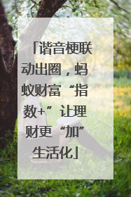 谐音梗联动出圈，蚂蚁财富“指数+”让理财更“加”生活化