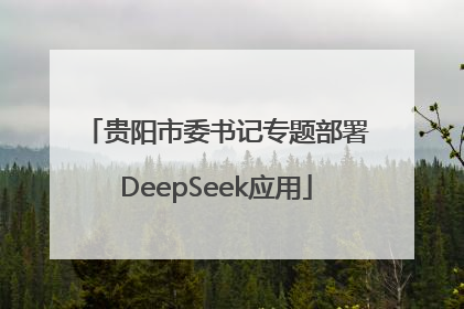 贵阳市委书记专题部署DeepSeek应用
