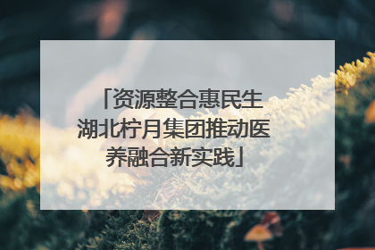 资源整合惠民生 湖北柠月集团推动医养融合新实践