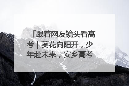 跟着网友镜头看高考｜葵花向阳开，少年赴未来，安乡高考首日的希望图景
