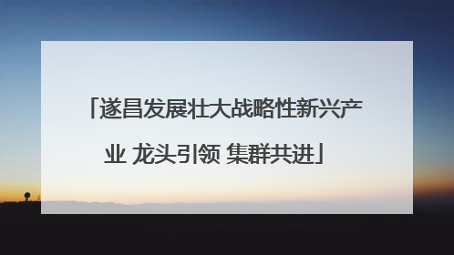遂昌发展壮大战略性新兴产业 龙头引领 集群共进
