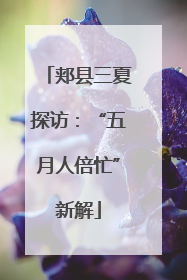 郏县三夏探访：“五月人倍忙”新解