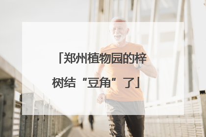 郑州植物园的梓树结“豆角”了