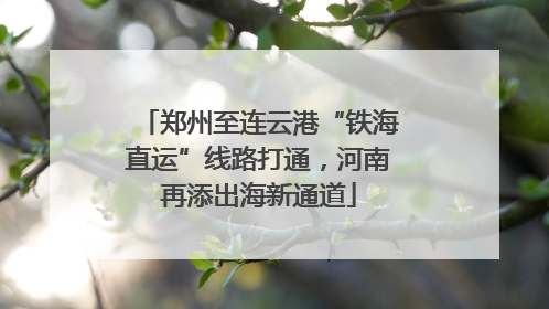 郑州至连云港“铁海直运”线路打通，河南再添出海新通道