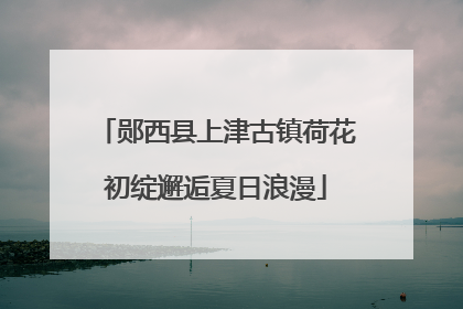 郧西县上津古镇荷花初绽邂逅夏日浪漫