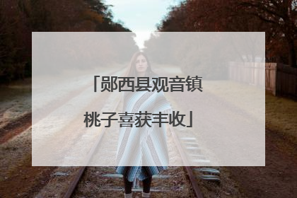 郧西县观音镇桃子喜获丰收