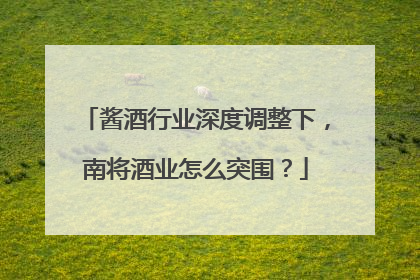 酱酒行业深度调整下，南将酒业怎么突围？