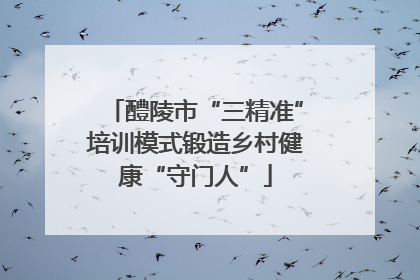 醴陵市“三精准”培训模式锻造乡村健康“守门人”