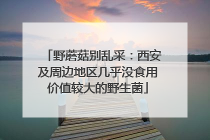 野蘑菇别乱采：西安及周边地区几乎没食用价值较大的野生菌