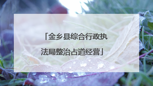 金乡县综合行政执法局整治占道经营
