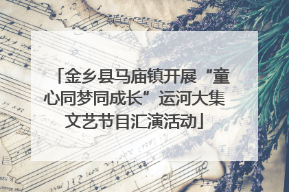 金乡县马庙镇开展“童心同梦同成长”运河大集文艺节目汇演活动
