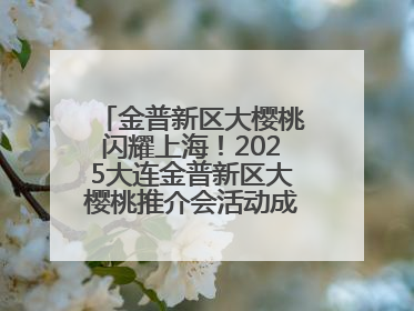 金普新区大樱桃闪耀上海！2025大连金普新区大樱桃推介会活动成功举办！