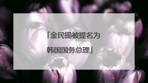 金民锡被提名为韩国国务总理