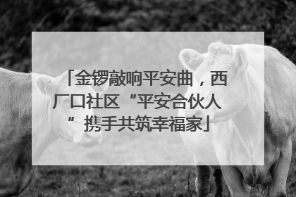 金锣敲响平安曲，西厂口社区“平安合伙人”携手共筑幸福家