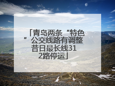 青岛两条“特色”公交线路有调整 昔日最长线312路停运