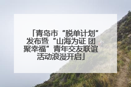 青岛市“脱单计划”发布暨“山海为证 团聚幸福”青年交友联谊活动浪漫开启