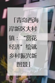 青岛西海岸新区大村镇：“赏花经济”绘就乡村振兴新图景