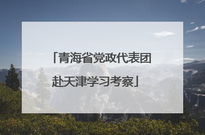 青海省党政代表团赴天津学习考察
