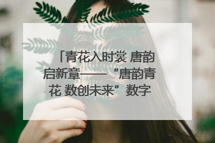 青花入时裳 唐韵启新章——“唐韵青花 数创未来”数字文创设计大赛启幕