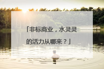 非标商业，水灵灵的活力从哪来？