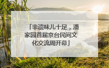 非遗味儿十足，潘家园首届京台民间文化交流周开幕