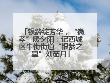 银龄绽芳华，“微孝”暖夕阳：记西城区牛街街道“银龄之星”刘茹月