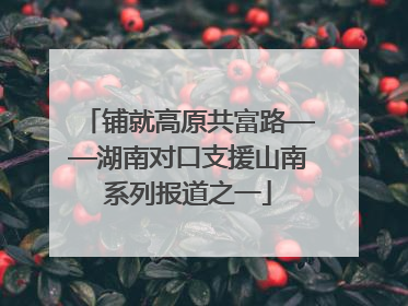 铺就高原共富路——湖南对口支援山南系列报道之一