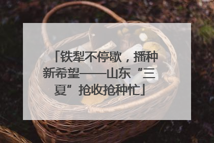 铁犁不停歇，播种新希望——山东“三夏”抢收抢种忙