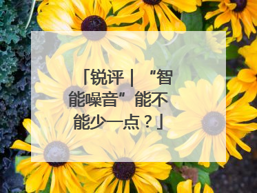 锐评｜“智能噪音”能不能少一点？